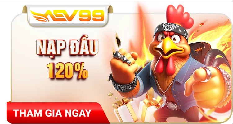 trực tiếp đá gà