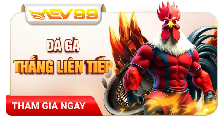 trực tiếp đá gà
